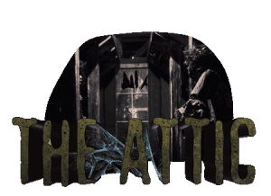 The Attic haunted attraction at Frightland